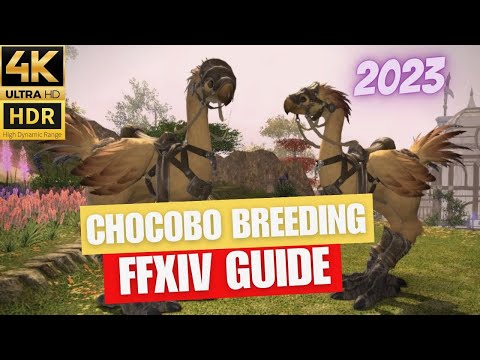 FFXIV Chocobo Breeding Tutorial