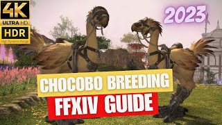 FFXIV Chocobo Breeding Tutorial