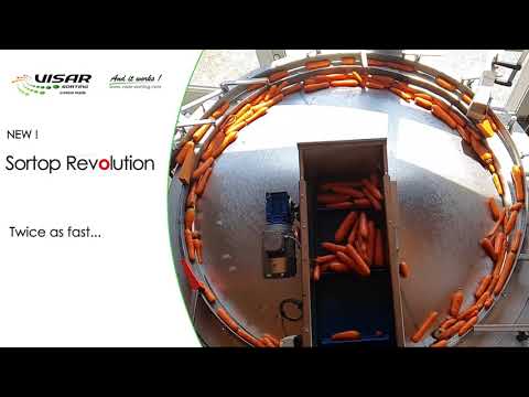 Visar Sorting Sàrl – Sortop Carrots – new rotative feeding system highly increases sorting capacity