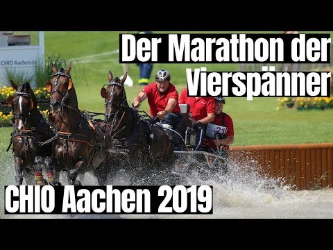 Der Marathon der Vierspänner 🔝 | Ein echtes Highlight beim CHIO Aachen 2019