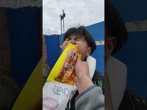 Warum stiehlt dieser Hund jeden Tag mein Essen #102