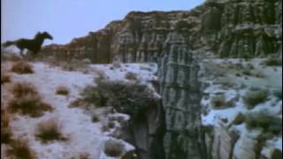 Gypsy Colt (1954) Video