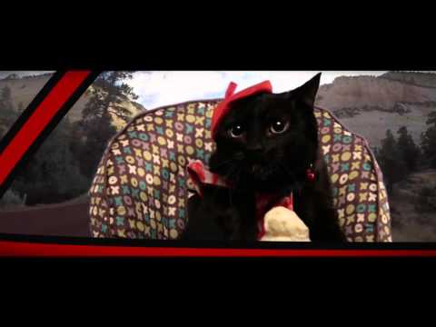 The CatCar- Episode 4 "Ice Cream Dream "
