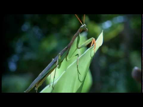 Gigamesh - Your Body [official video]