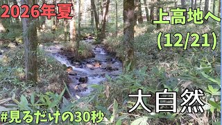 上高地散策2026.8.13(12/21)明神への道その1