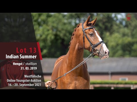 Youngster Online-Auktion Lot 13 Indian Summer Hengst v. Asgard's Ibiza - Sir Donnerhall II