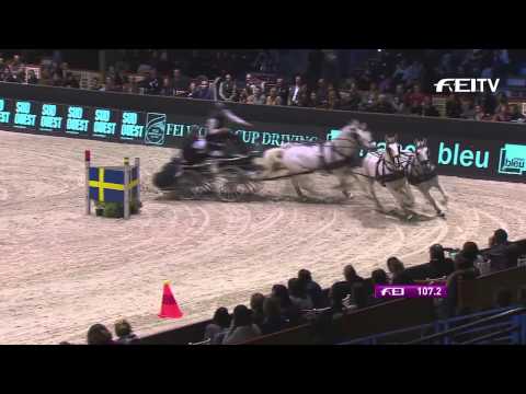 FEI World Cup™ Driving Final - Bordeaux Final 1 News