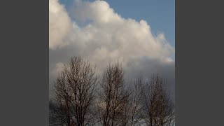 Cover art for Extradition