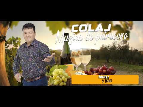 Muzica de petrecere 2024  NICU ALBU 1 Ora Colaj Muzica de Petrecere 2024