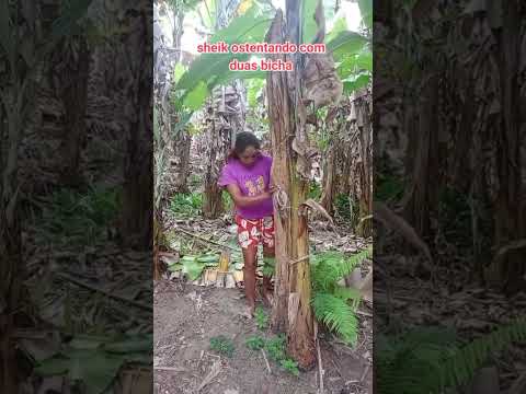 #sheik ostentando na Uruburetama ceara #humor