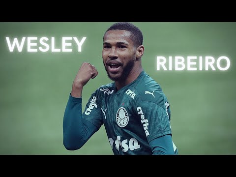 Wesley Ribeiro Skills