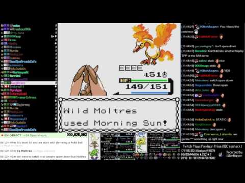 Defeating Moltres  - Twitch Plays Pokémon Prism