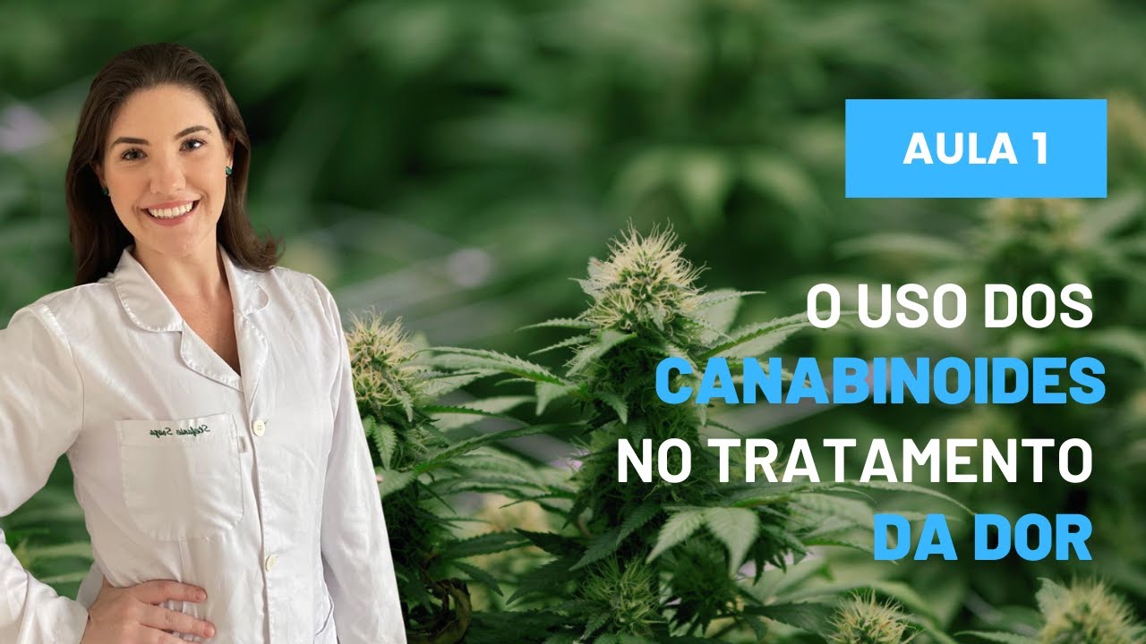 O uso dos canabinóides no tratamento da dor