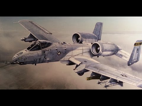 Italeri 1/48 A-10CThunderbolt II "Blacksnakes"  - What's in the BOX