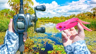 Exploring A MASSIVE Swamp For AGGRESSIVE Bites!