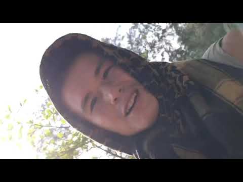 The first & maybe only documented forage video of the pandanus tectorius (hala) plant in Malaysia!