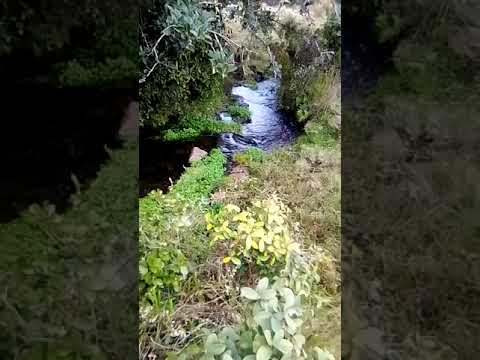 Borbollón del Tacuari , Cerro largo (Uruguay)