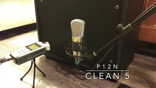 Video thumbnail for EV12L vs. Jensen P12N, Mesa Boogie MkIIA (1978) by iefes11