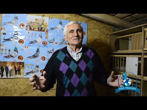 INTERVIU CU DL. TITA PARTEA  2 - "SPUNE LUCRURILOR PE NUME"