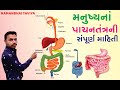 Human Digestive System In Gujarati (pachantantra)