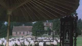 Chasing Sheep Is Best Left to Shepherds (Montage)