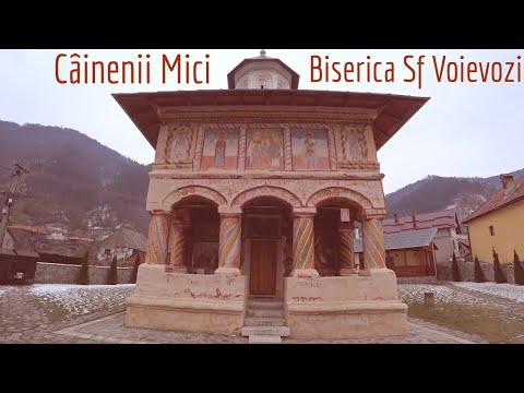 Câinenii Mici, Vâlcea. Pescari pe Olt, Biserica Sf Voievozi, Biserica Sf Nicolae.