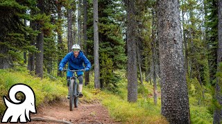 Missoula, MT Mountain Biking is UNDERRATED!