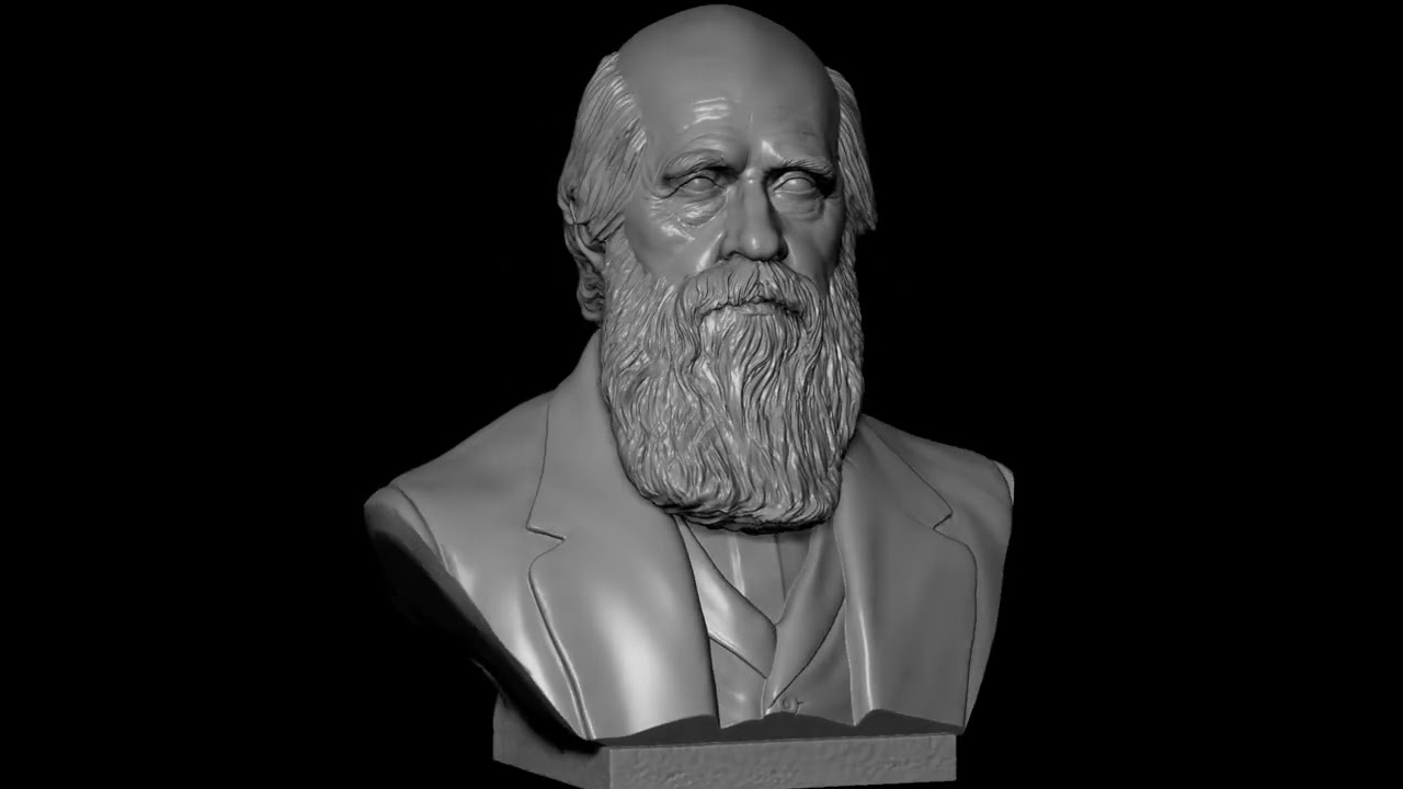 Carlos Darwin Modelo de Impressão 3D