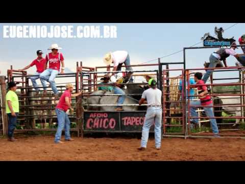 Rodeo Minute follows training in Regente Feijó