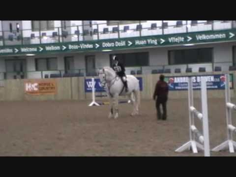 Balinmore Irish Rebel Hartpury BBSH Stalion Event