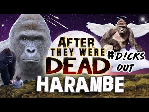 HARAMBE | After They Were Gone Video