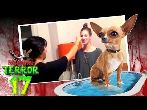 Pastor Metralhadora TERROR 17