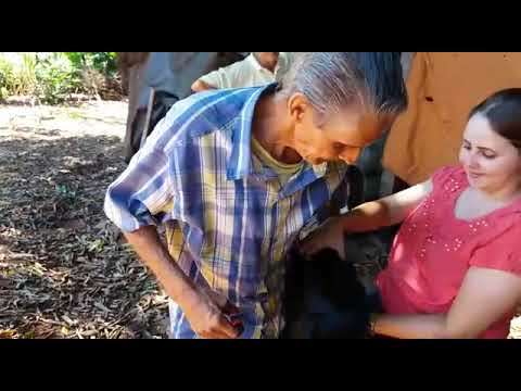 Alto Paraiso Paraná