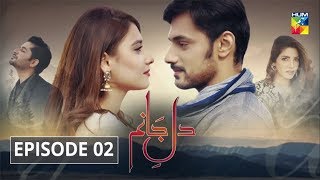 Dil e Jaanam Episode 2 HUM TV Drama