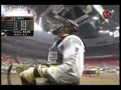 Wiley Petersen vs. Wild Life