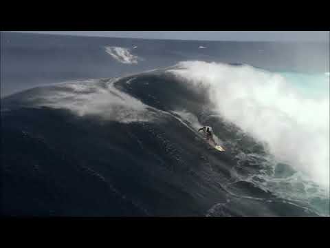 Swimming against the tide