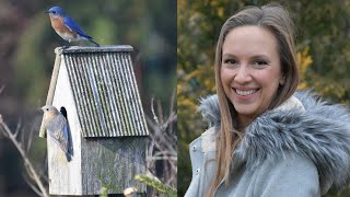 5 Tips to Attract More Birds to Your Garden // Northlawn Flower Farm
