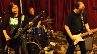 Coppertones - Wildflowers (Mark Lanegan cover)