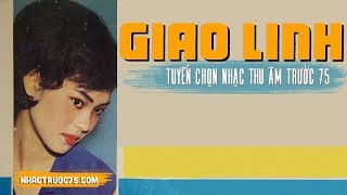 Video hợp âm Mùa Xuân Trên Cao Giao Linh