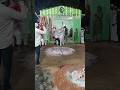 Muharram Moharram Mohuram Muharram Kothagudem