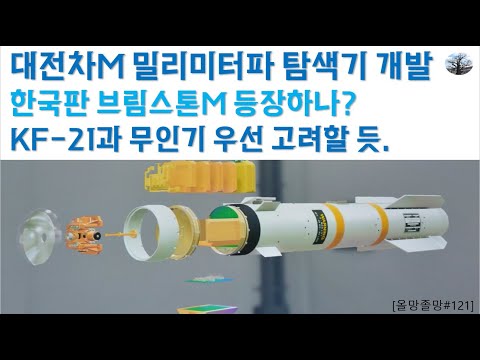 대전차 미사일 밀리미터파 탐색기 개발. 한국판 브림스톤 미사일 등장하나?