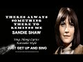 Sandie Shaw Always Something There To Remind Me Sing Along Lyrics