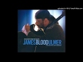 James "Blood" Ulmer - The Hustle Is On