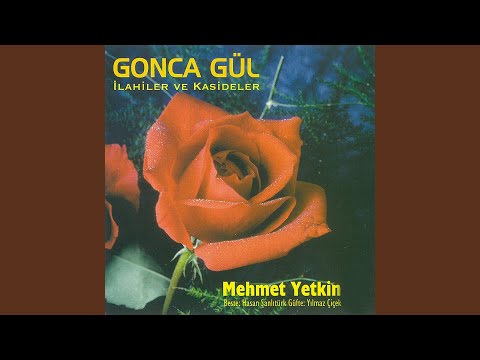 Senden Gayrı Sultan Olmaz