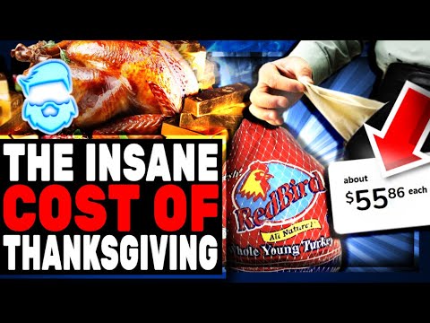  Woke Democrat DESTROYED Over INSANE LIE About Thanksgiving Meal Costs! 