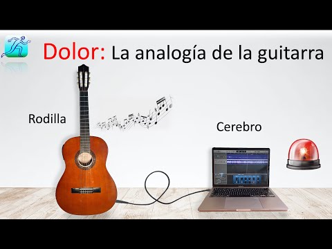 La analogía de la guitarra, el cable y el amplificador