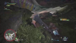 素人実況放送MHWベヒーモスへの道