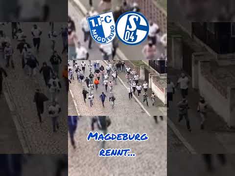 Magdeburg rennt !!! 1.FC Magdeburg vs. Schalke 04
