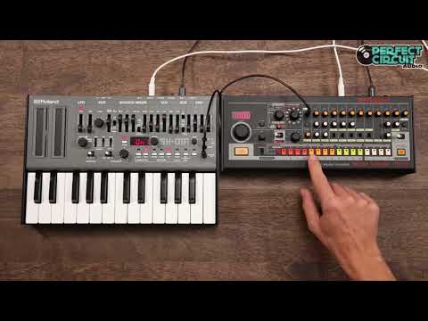 Quick Roland TR-08 & SH-01A Boutique Jam