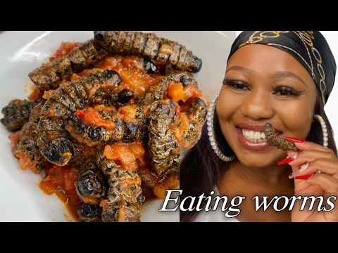 How to cook WORMS ( Mopane worms/ Phane)  Recipe 2021 #mopaneworms